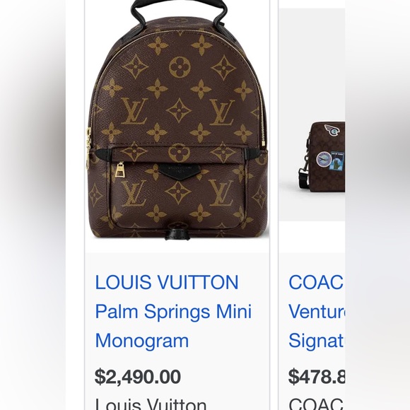 LOUIS VUITTON PALM SPRINGS MINI BAG - Picture 1 of 9